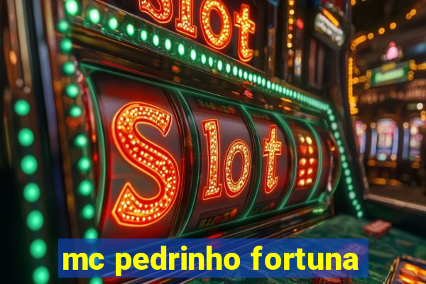 mc pedrinho fortuna