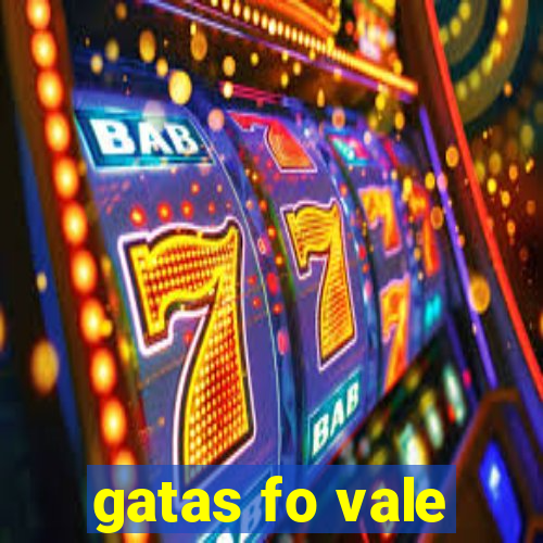 gatas fo vale