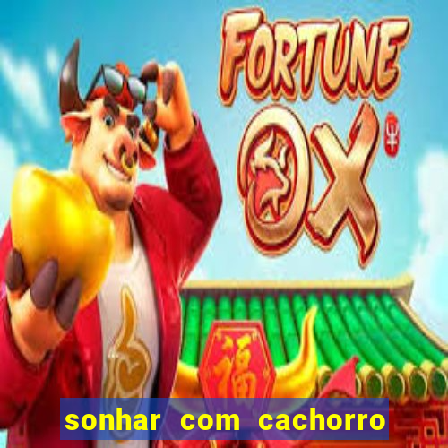 sonhar com cachorro numeros da mega sena