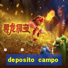 deposito campo grande santos