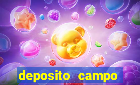 deposito campo grande santos