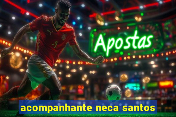 acompanhante neca santos