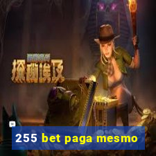 255 bet paga mesmo