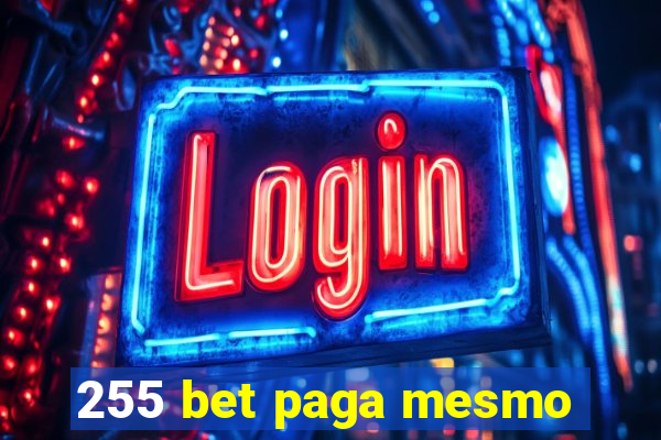 255 bet paga mesmo