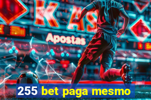 255 bet paga mesmo