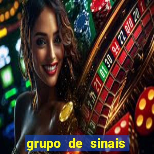 grupo de sinais trader telegram