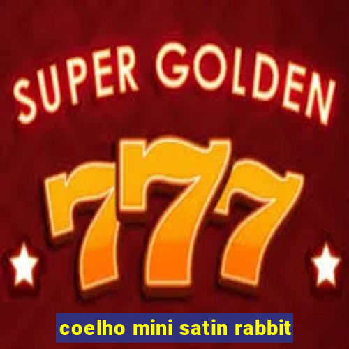 coelho mini satin rabbit