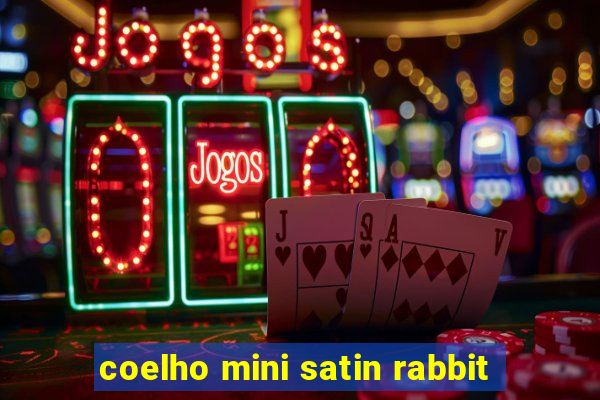 coelho mini satin rabbit