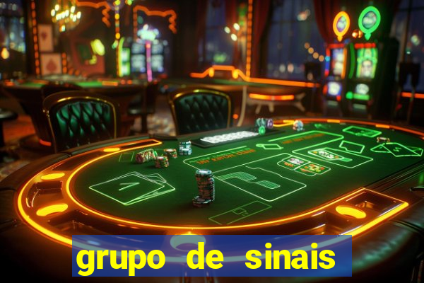 grupo de sinais fortune rabbit